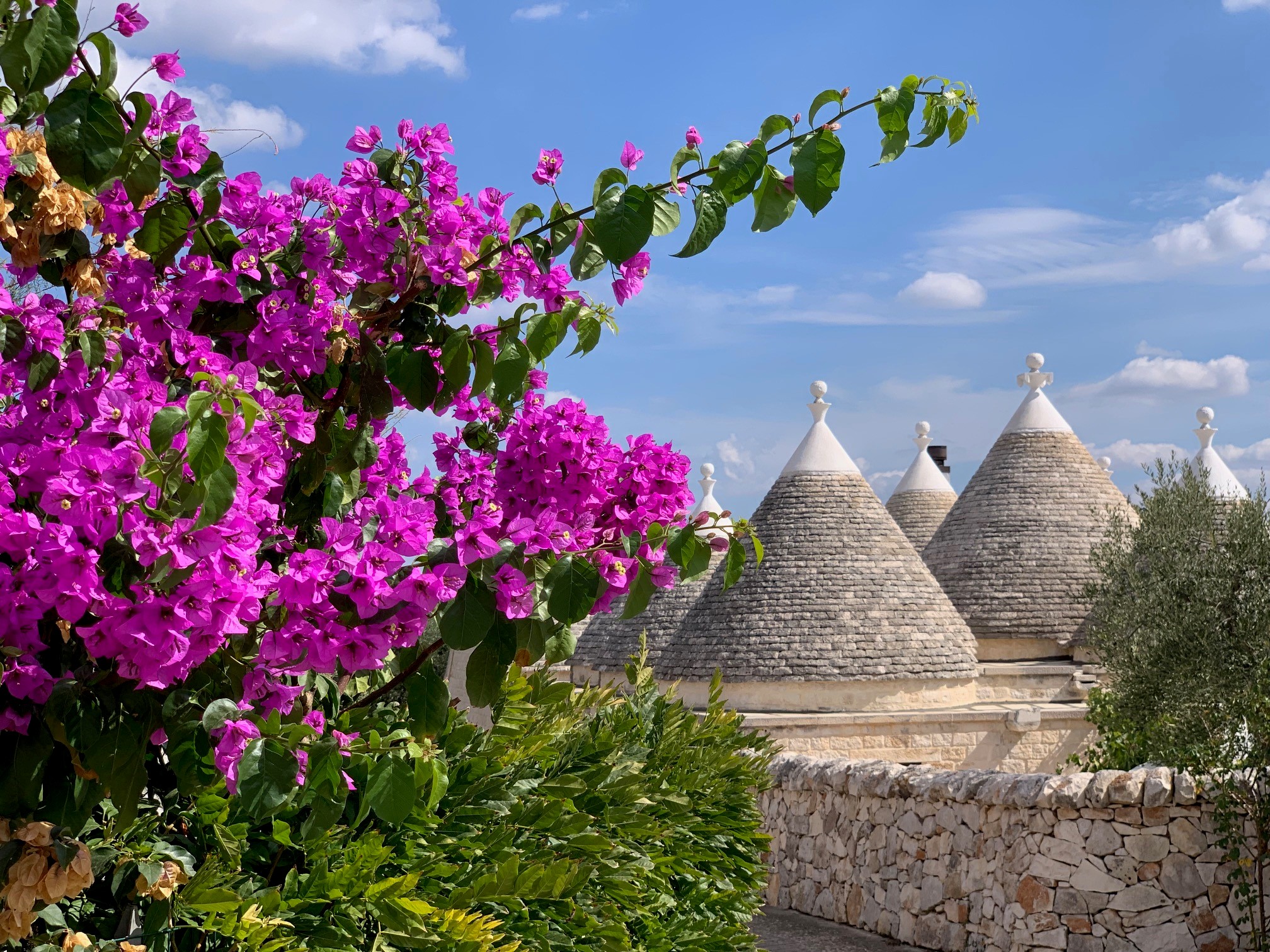 Erfahrungsbericht Apulien - im Land der Trulli