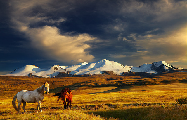 Mongolei-Ferien